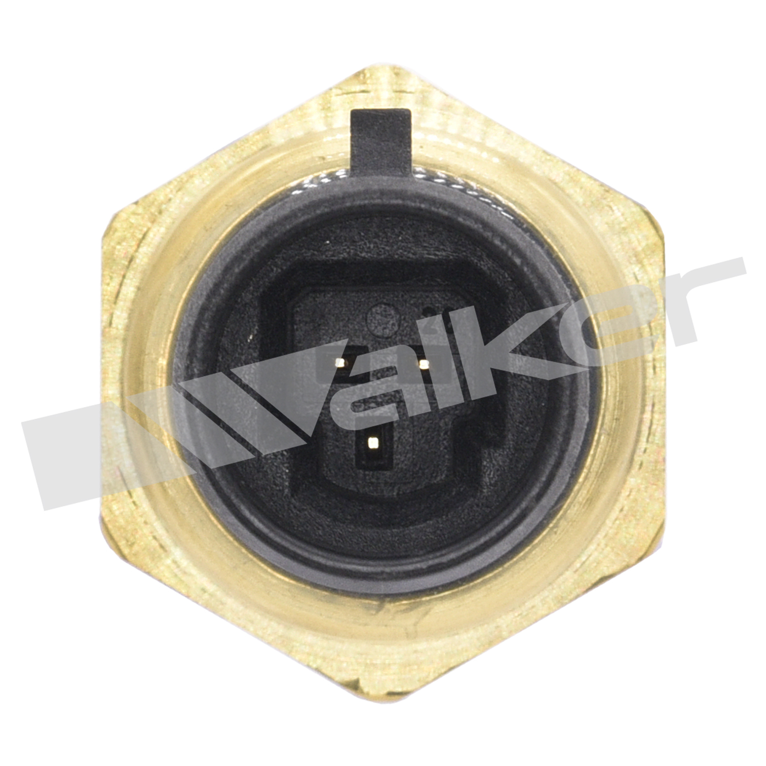 1002-1002_WALKER Exhaust Backpressure Sensor